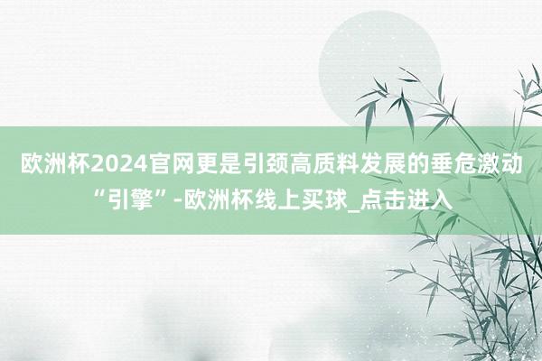 欧洲杯2024官网更是引颈高质料发展的垂危激动“引擎”-欧洲杯线上买球_点击进入