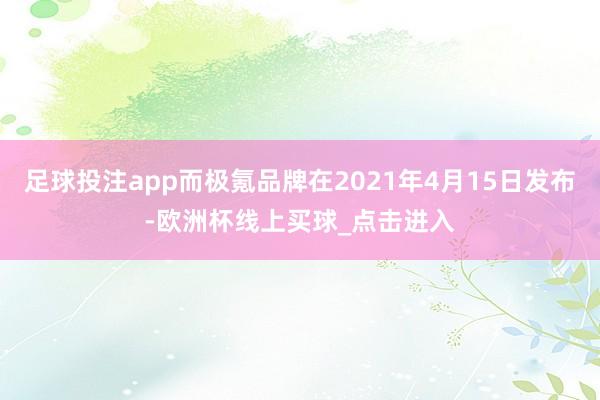 足球投注app而极氪品牌在2021年4月15日发布-欧洲杯线上买球_点击进入