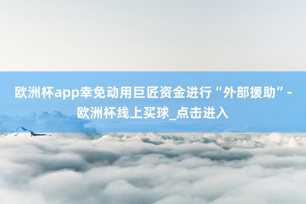 欧洲杯app幸免动用巨匠资金进行“外部援助”-欧洲杯线上买球_点击进入