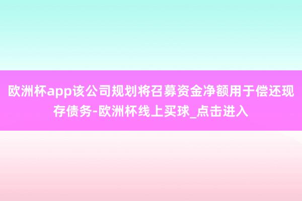 欧洲杯app该公司规划将召募资金净额用于偿还现存债务-欧洲杯线上买球_点击进入