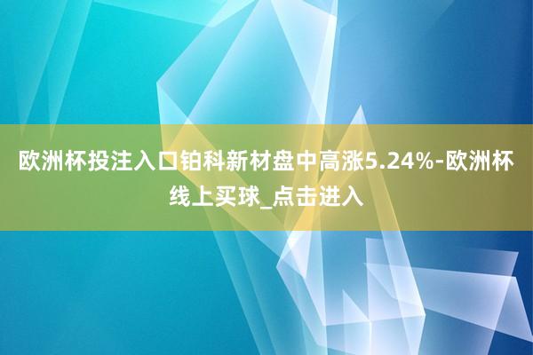 欧洲杯投注入口铂科新材盘中高涨5.24%-欧洲杯线上买球_点击进入