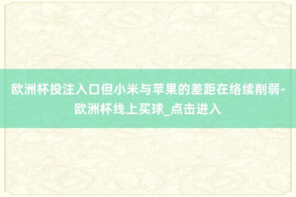 欧洲杯投注入口但小米与苹果的差距在络续削弱-欧洲杯线上买球_点击进入