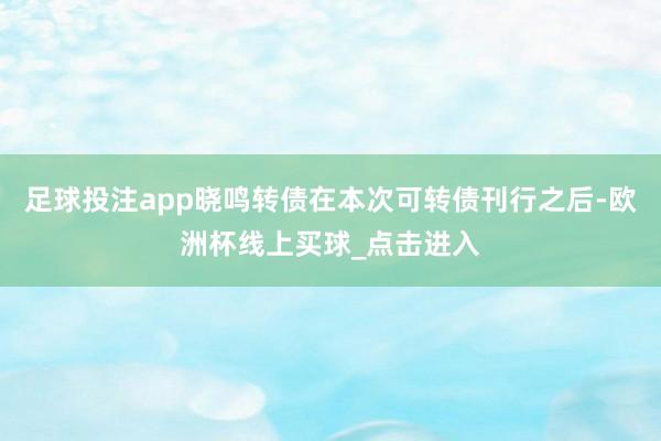 足球投注app晓鸣转债在本次可转债刊行之后-欧洲杯线上买球_点击进入