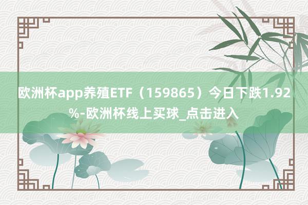 欧洲杯app养殖ETF（159865）今日下跌1.92%-欧洲杯线上买球_点击进入