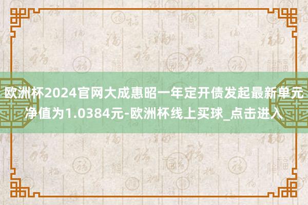 欧洲杯2024官网大成惠昭一年定开债发起最新单元净值为1.0384元-欧洲杯线上买球_点击进入