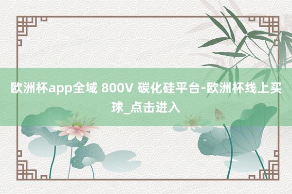 欧洲杯app全域 800V 碳化硅平台-欧洲杯线上买球_点击进入